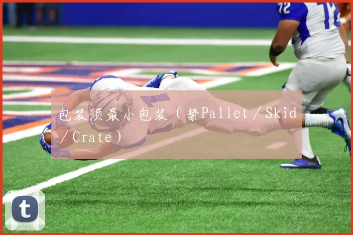 包装须最小包装（禁Pallet／Skid／Crate）