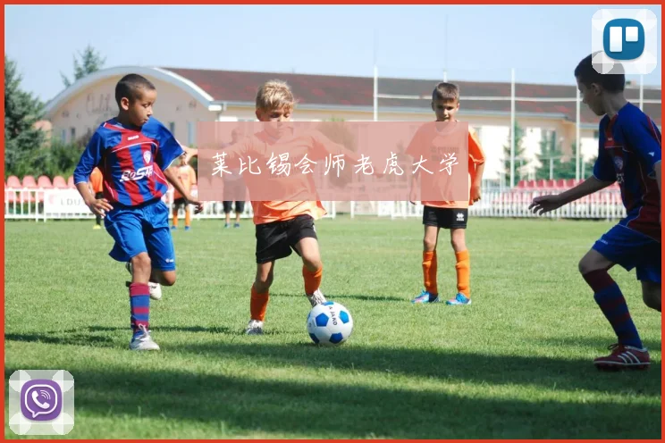 莱比锡会师老虎大学