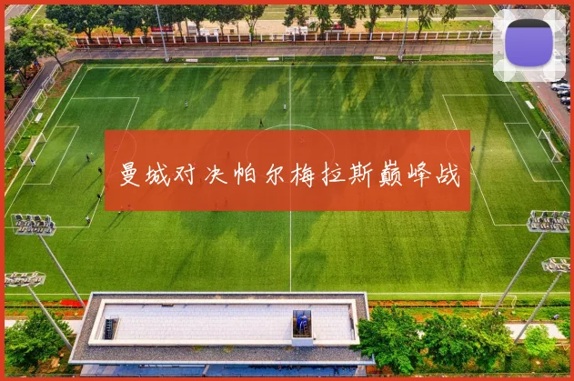曼城对决帕尔梅拉斯巅峰战