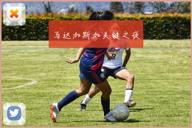 马达加斯加关键之夜