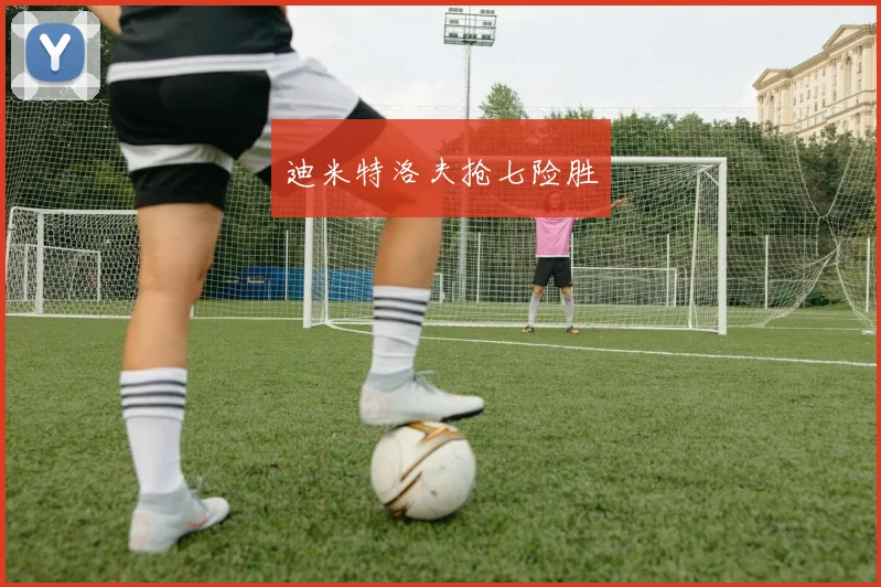 迪米特洛夫抢七险胜