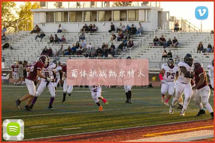 葡体挑战凯尔特人