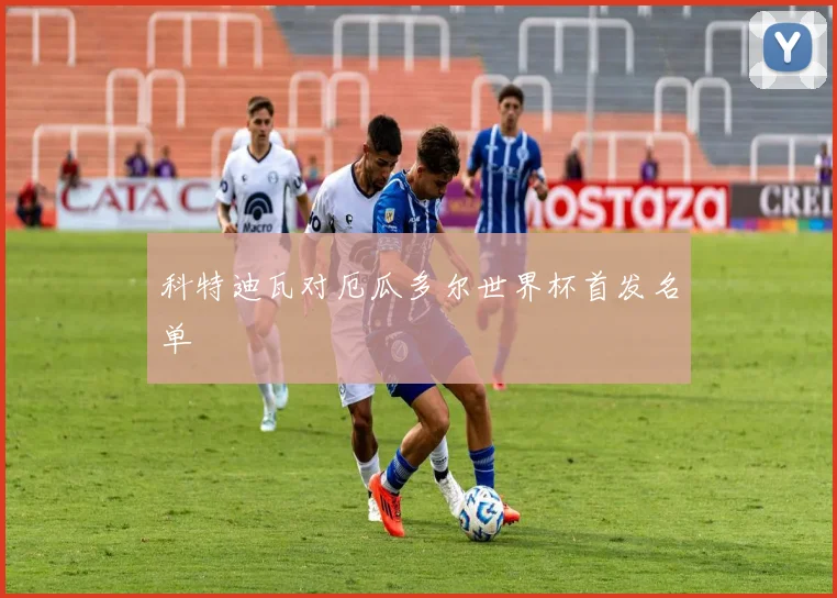 科特迪瓦对厄瓜多尔世界杯首发名单