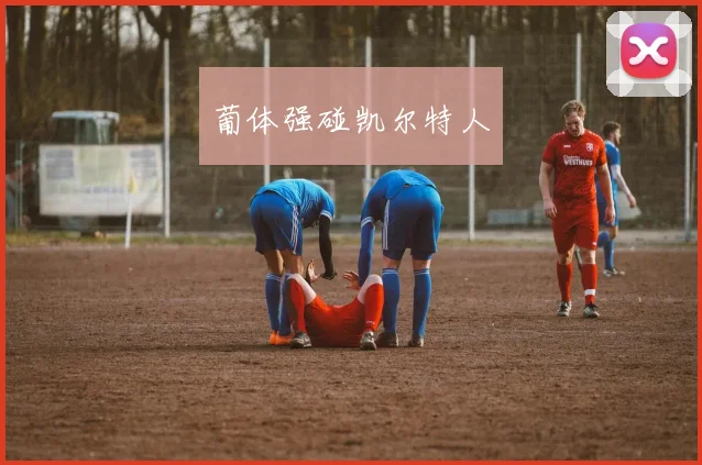 葡体强碰凯尔特人