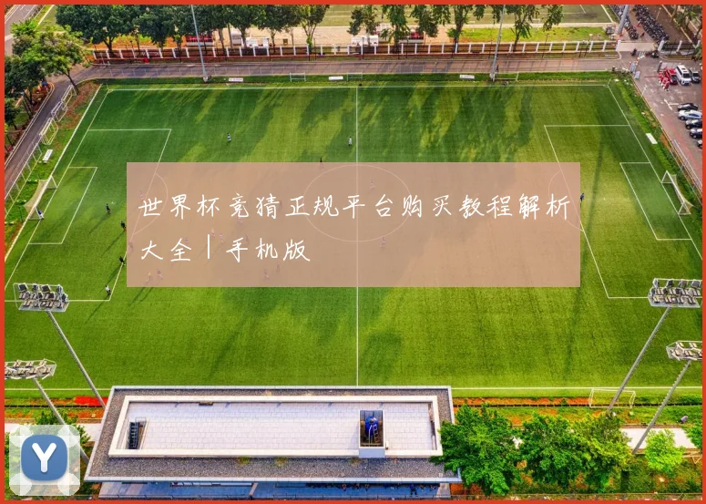 世界杯竞猜正规平台购买教程解析大全｜手机版