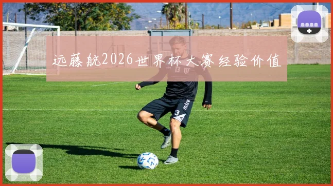 远藤航2026世界杯大赛经验价值