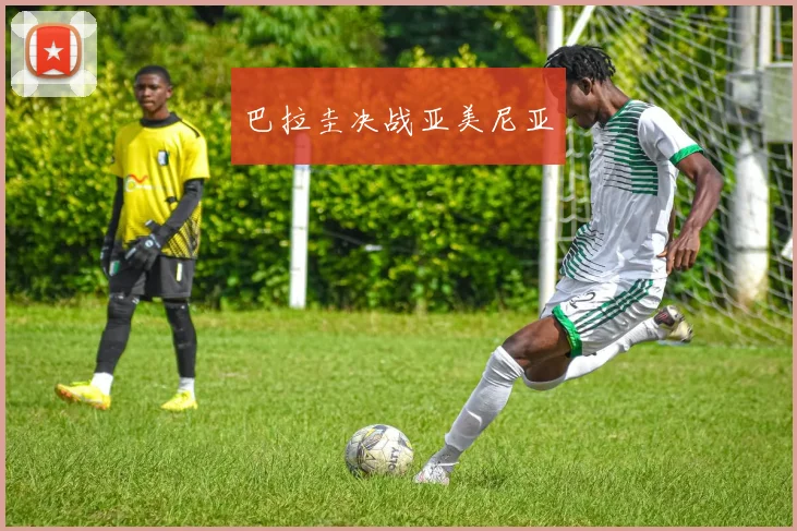 巴拉圭决战亚美尼亚