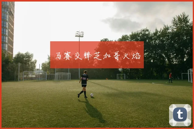 马赛交锋芝加哥火焰