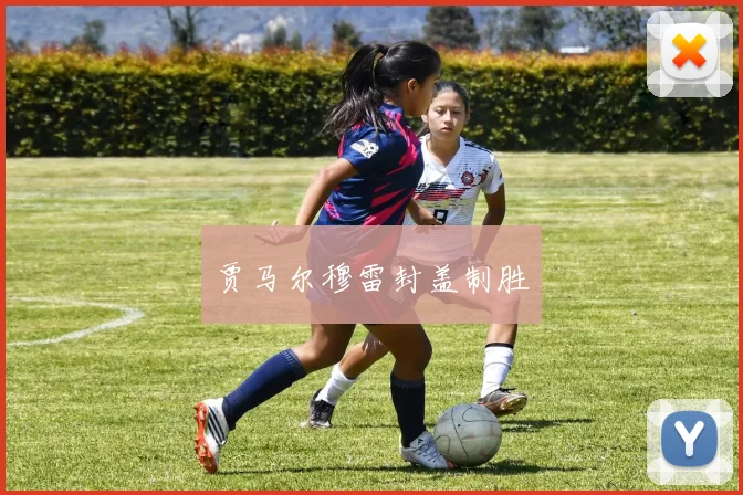 贾马尔穆雷封盖制胜