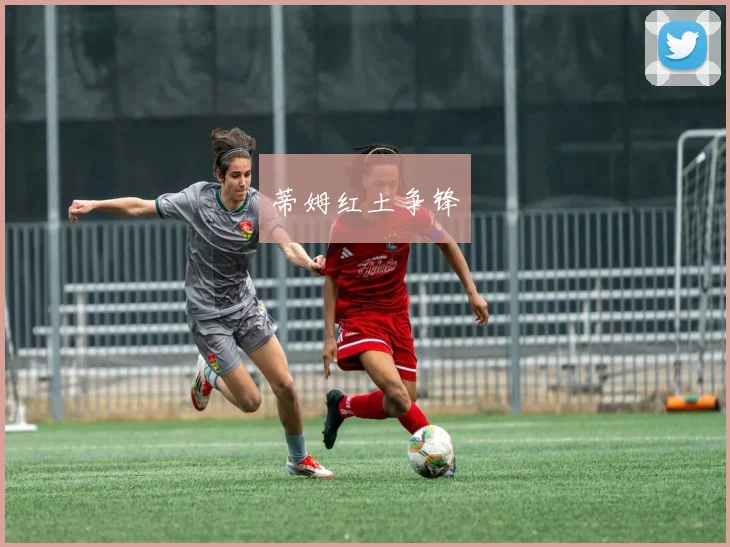 蒂姆红土争锋