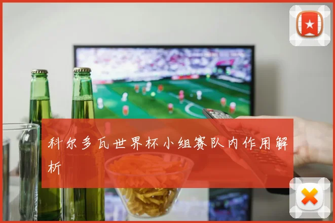 科尔多瓦世界杯小组赛队内作用解析