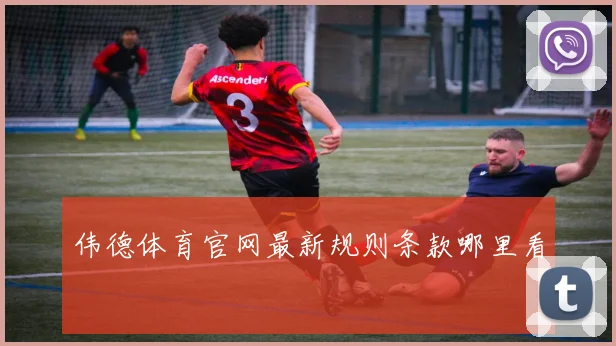 伟德体育官网最新规则条款哪里看