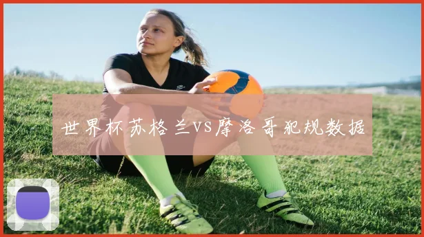 世界杯苏格兰vs摩洛哥犯规数据