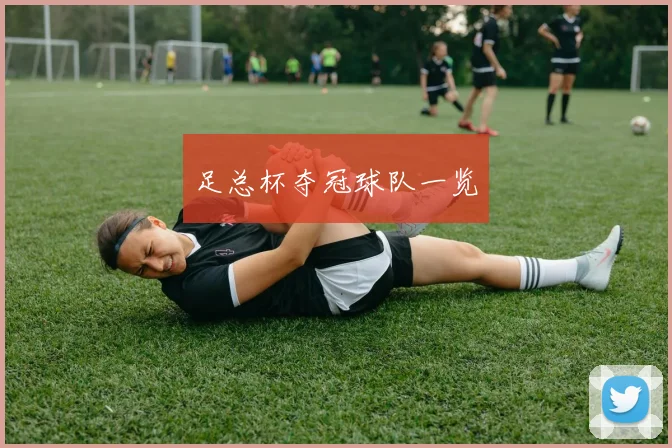 足总杯夺冠球队一览