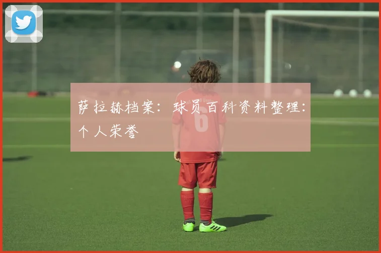萨拉赫档案:球员百科资料整理:个人荣誉